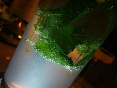 -甜喵酒吧(茂业店)