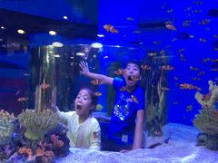 -瑞普利水族馆