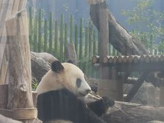-武汉动物园