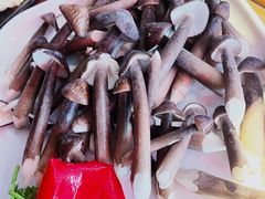 -捞围鲜·港式打边炉(海阳路店)