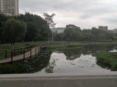 -映月湖公园