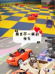 -欢乐陶陶儿童主题乐园(龙岗店)