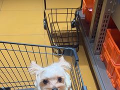 -MARSMART PETS火星宠物超市(1733店)