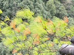 -神龙峡风景区