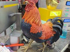 -食鸡公社辣子鸡·潍坊菜·烧烤