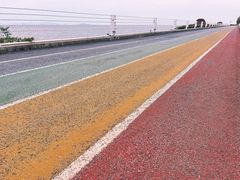 -贡湖湾湿地公园
