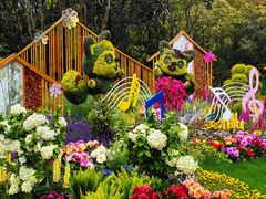 -上海共青森林公园