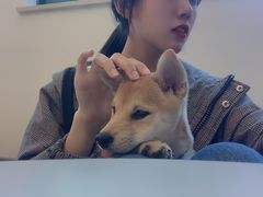 -浣熊柯尔鸭土拨鼠·电玩咖