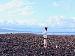 -杨梅坑