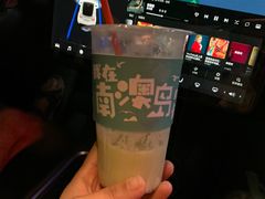 -南澳岛打卡果汁冰公司