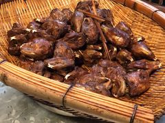 -邓氏兔头