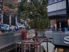 -巴陵广场