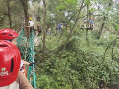 -芦仙山景区-飞越丛林探险乐园