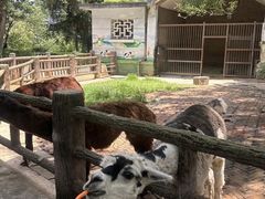 -昆明动物园