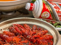 -金龙·打边炉(南京西路店)