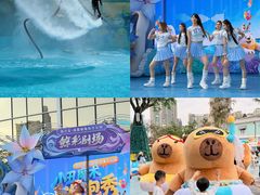 -海合安成都极地海洋公园