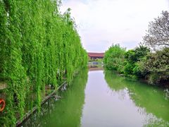 -广富林郊野公园