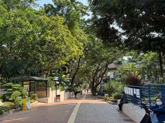 -九龙公园