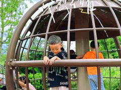 -枫香湖儿童公园