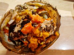 -杨氏青龙虾·羊蝎子(珠江路店)