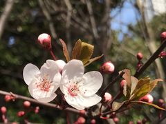 -人民公园-相亲角