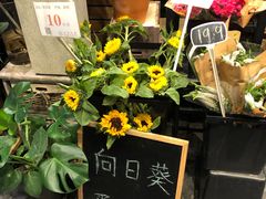 -豆豆花艺(新光天地店)
