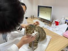 -邢大夫动物医院