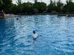 -浦鸿会游泳健身中心·Ambassy Club PD(金桥碧云国际社区店)