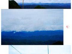 -栾川竹海野生动物园