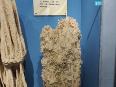 -河南自然博物馆