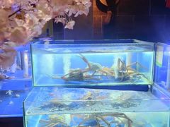 -樱之盛宴·蟹料理海鲜自助(前进大街店)