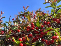 -南京市江宁方山