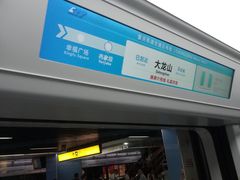 -大龙山(地铁站)