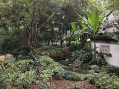-上海醉白池公园