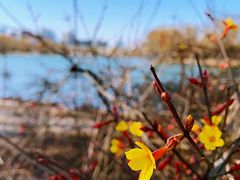景点-朝阳公园