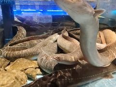 -阿伟海鲜楼·福建菜(延寿店)