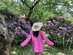 -名花谷生态庄园