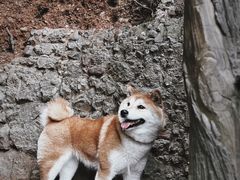 -剑门关风景区