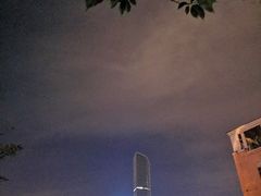 -鲜果壹号(中央景城店)