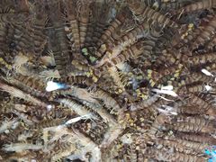 -盒马鲜生(馥邦国际店)