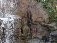 -燕塞湖鸟语林景区