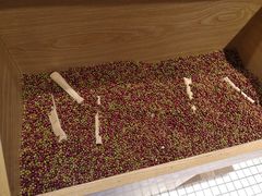 -炖物24章·顺时轻养茶(杭州保利时光里店)