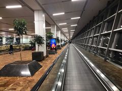 -英迪拉·甘地国际机场