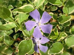 -昆山城市生态森林公园