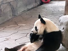 -宁波野生动物园
