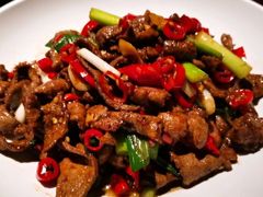 -老板恋上鱼(高新万达店)
