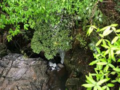 -溪口-滕头旅游景区