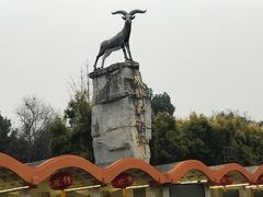 -成都动物园