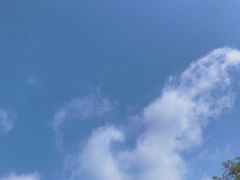 -东莞植物园