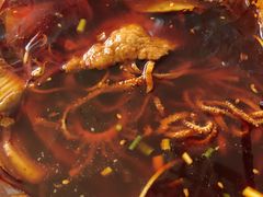 千层肚-蓉城西二道无名冒菜(西二道街店)